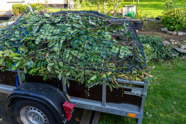 Same-Day Junk Removal Services in Boiling Spring Lakes, NC